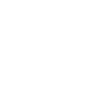 SIRMEX